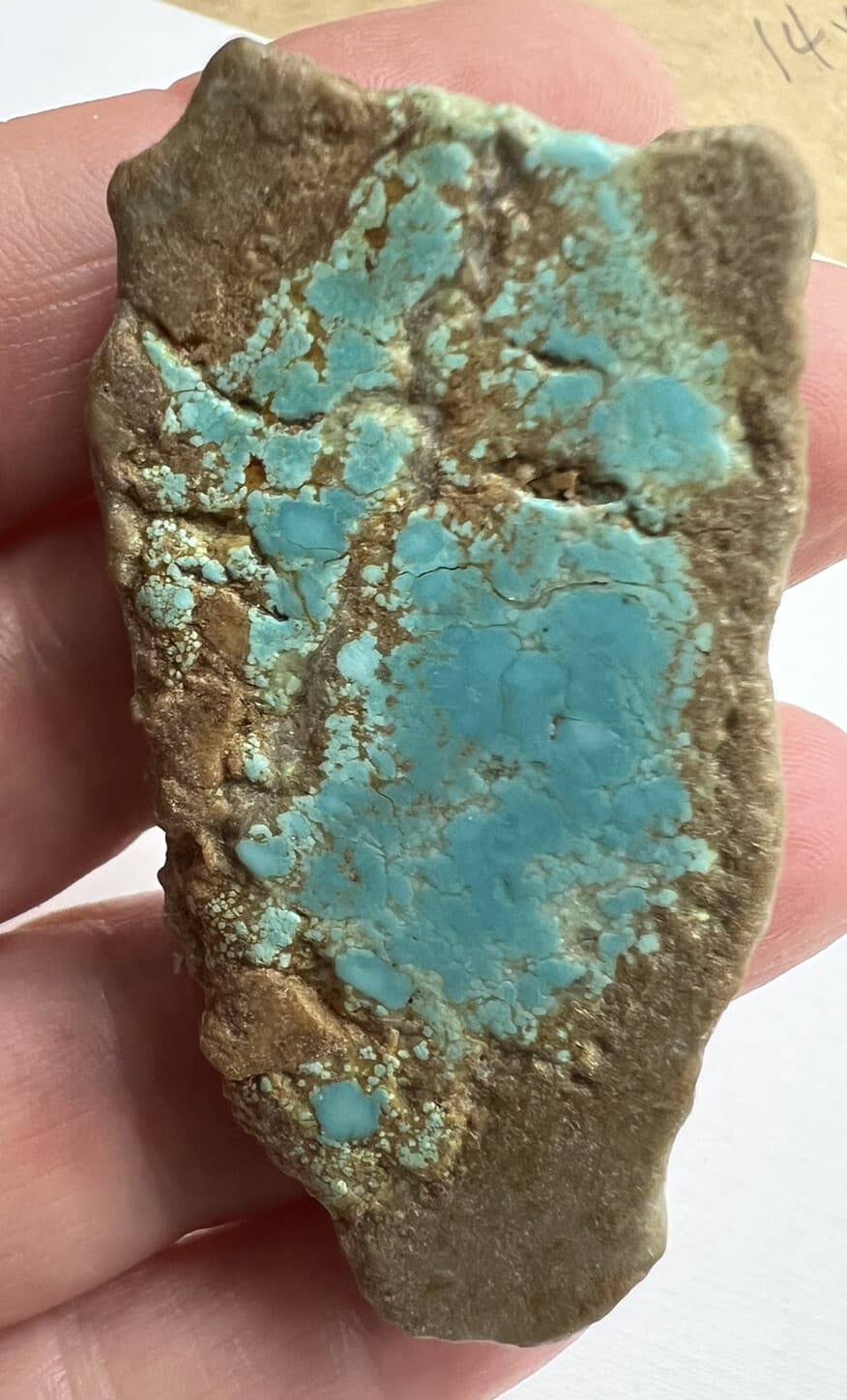 Number 8 Turquoise Old mine material bright blue Great spiderweb 270 Carats 3