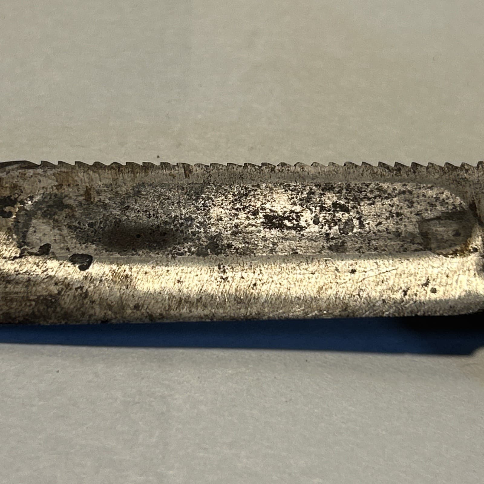 Camillus NY Fixed Blade Knife Fighting Knife Saw Back Survival 3