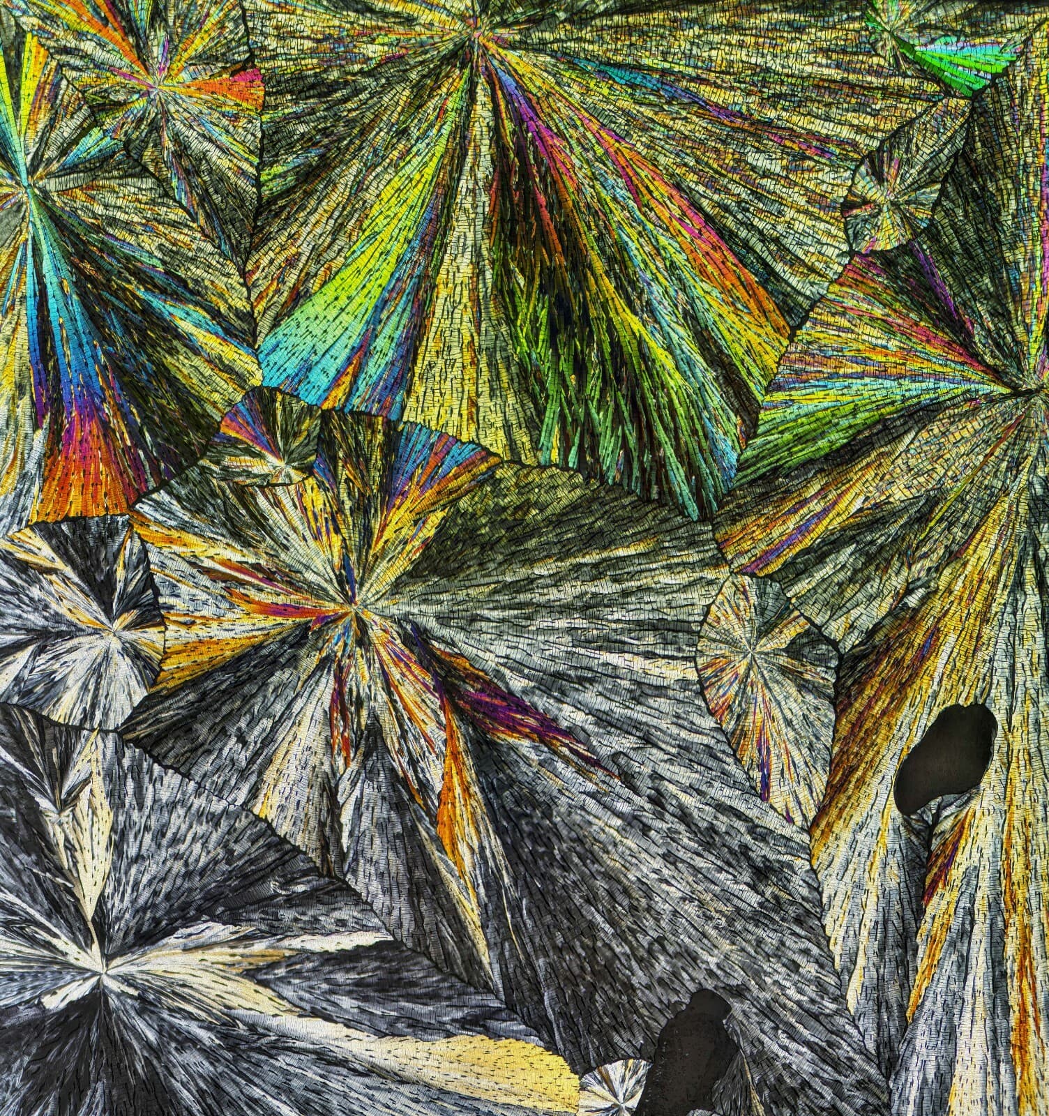 Microscope slide for polarization,  PREGNENOLONE 3