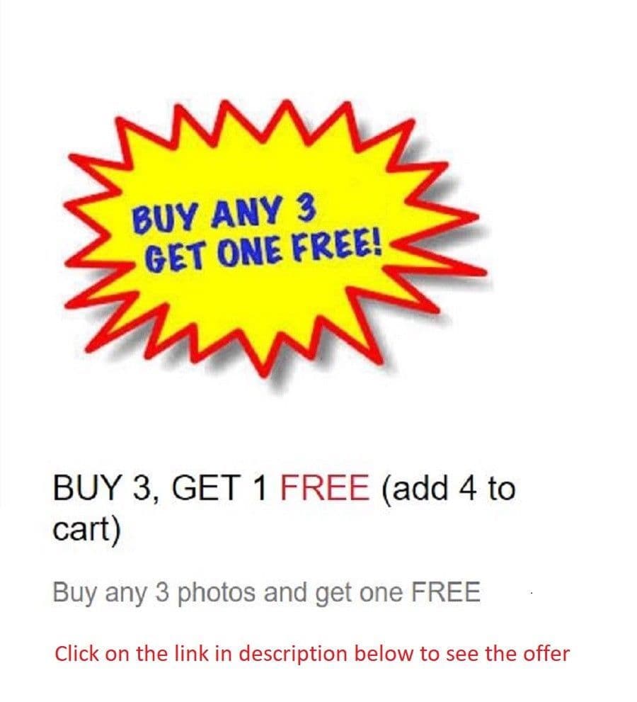 WW1 World one Photo Picture 1916 French soldier with Lebel Model 1886 rifle 3968 2