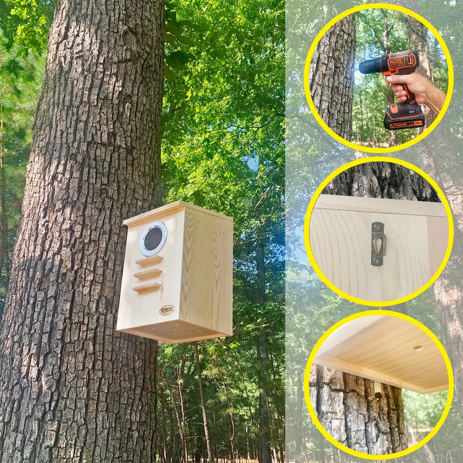 Squirrel Nest Box - For Grey Squirrels & Flying Squirrels 2