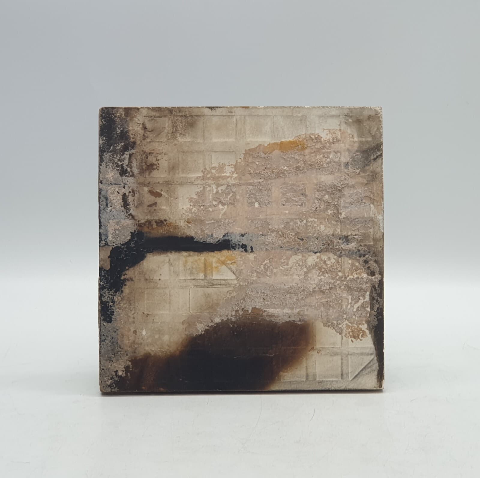 Art Nouveau Fireplace Tile Majolica Tile T. A Simpson C1892 AE2 3