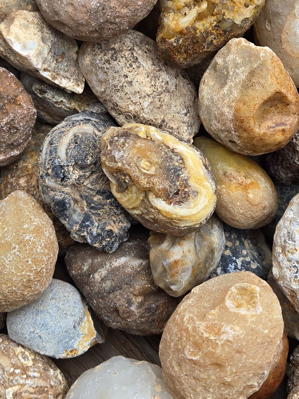 Oco Agate Geodes Whole - Mine Run Rough - 1 Pound Lb - Mostly Solid Agate