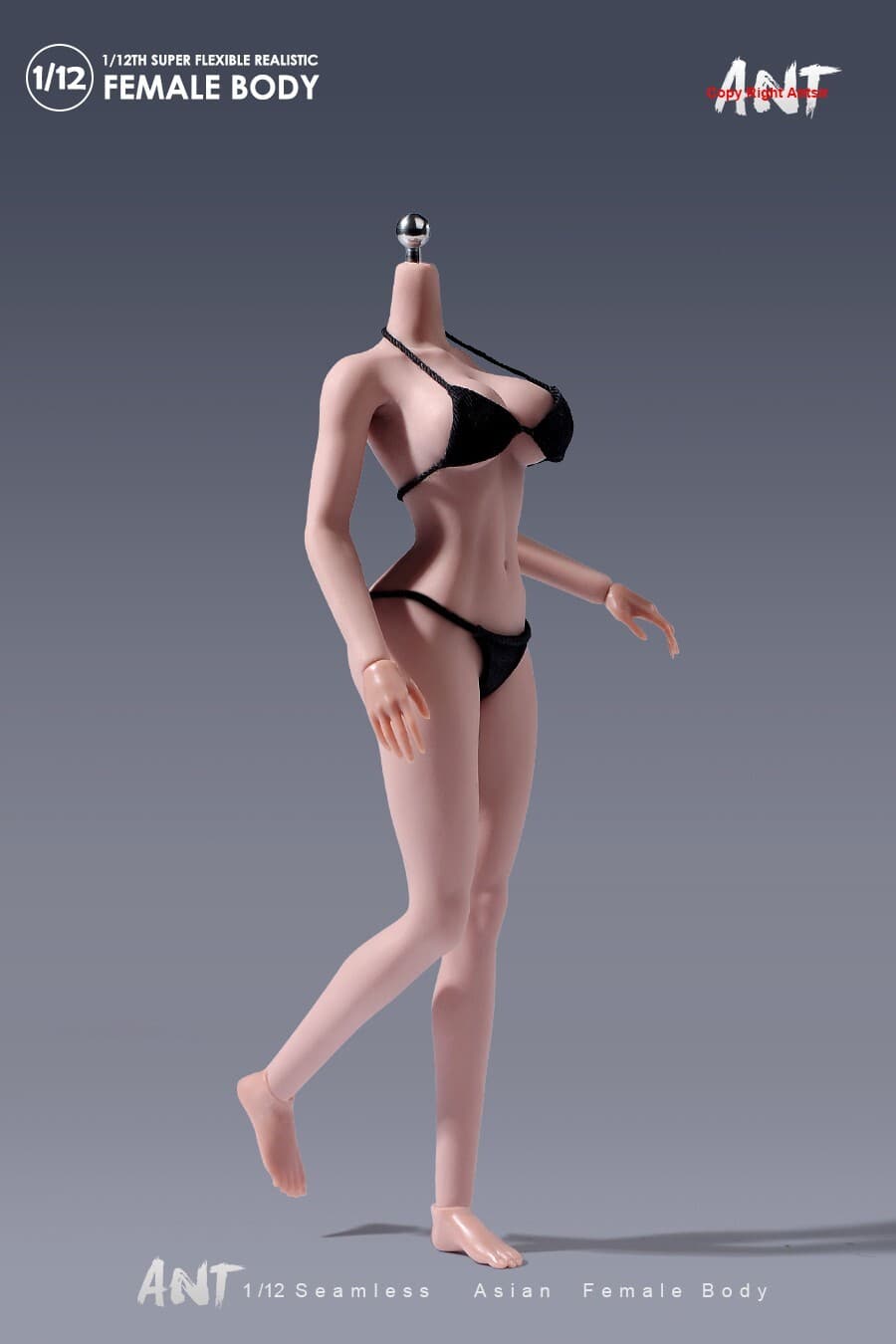 US ANT 1:12 Suntan Large Breast Plump Hip Seamless 6"Female Action Figure Body 6