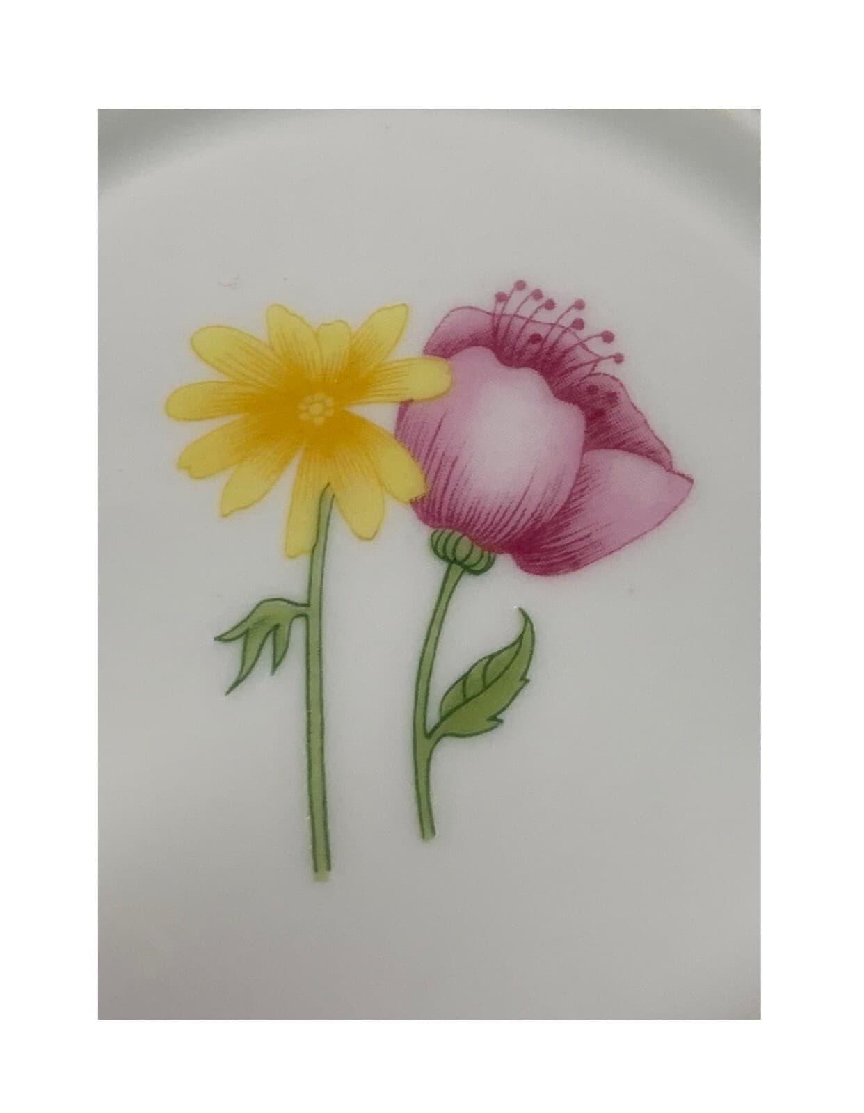 SCALLOPED EDGE GARDEN FLOWERS DEMITASSE CUP SAUCER BY DENBY LIMOGES FRANCE 4