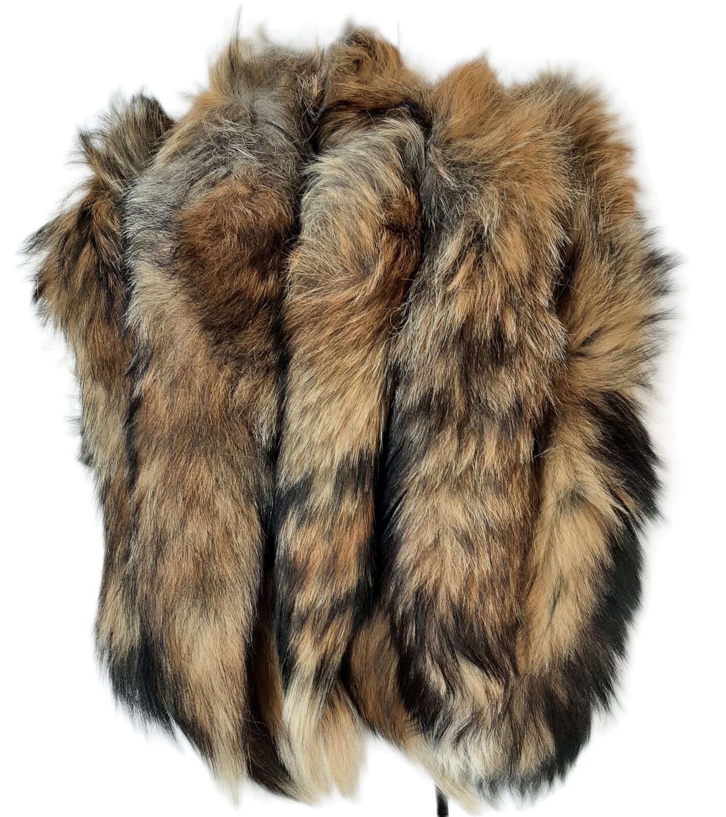 Red Fox Tail, 13-17" Tanned 2