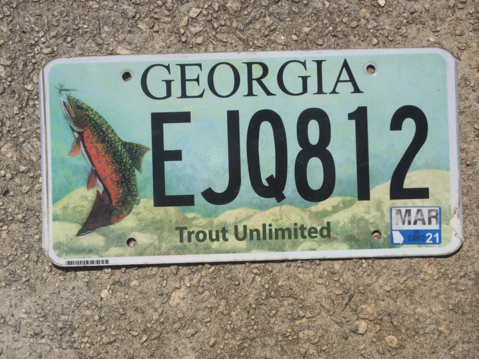 2021 Georgia Trout Unlimited License Plate GA Wildlife Fish Fishing EJQ812