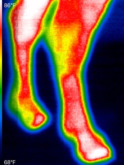 Horse Refresh Ceramic Therapy Infused Quick Wraps - Sold as Pair 6