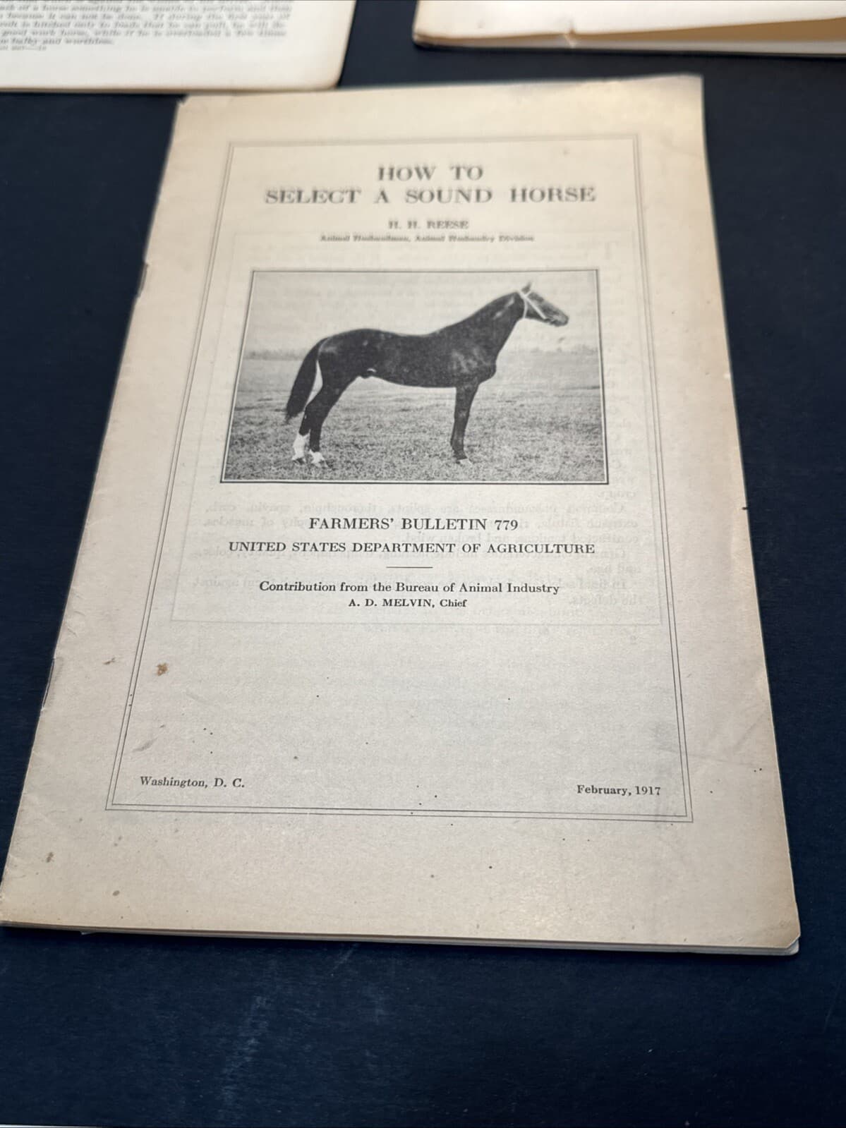 1915-17 USDA Farmers 6 Booklets Horse Feeding, Breaking Colts, Breeding antique 6