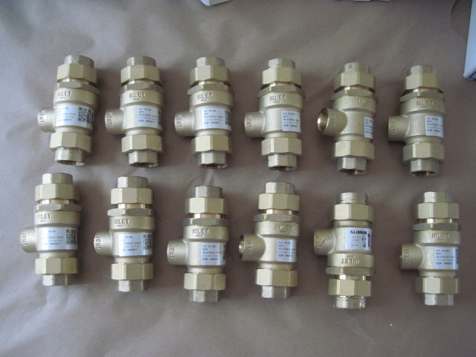 Watts 3/4 9D-M2 Backflow Preventer Dual Check Valve w/ Atmospheric Vent, 0062671