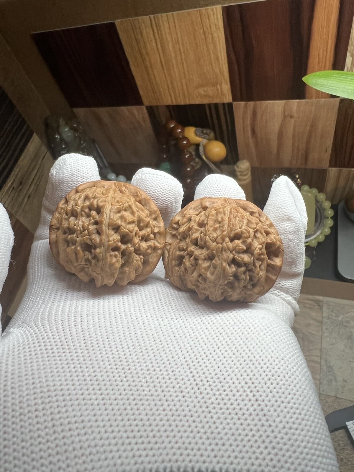 Pair of  Match Chinese Health Walnut 41×41.5×34mm精配文玩核桃～闷尖白狮子石⚽球白 4