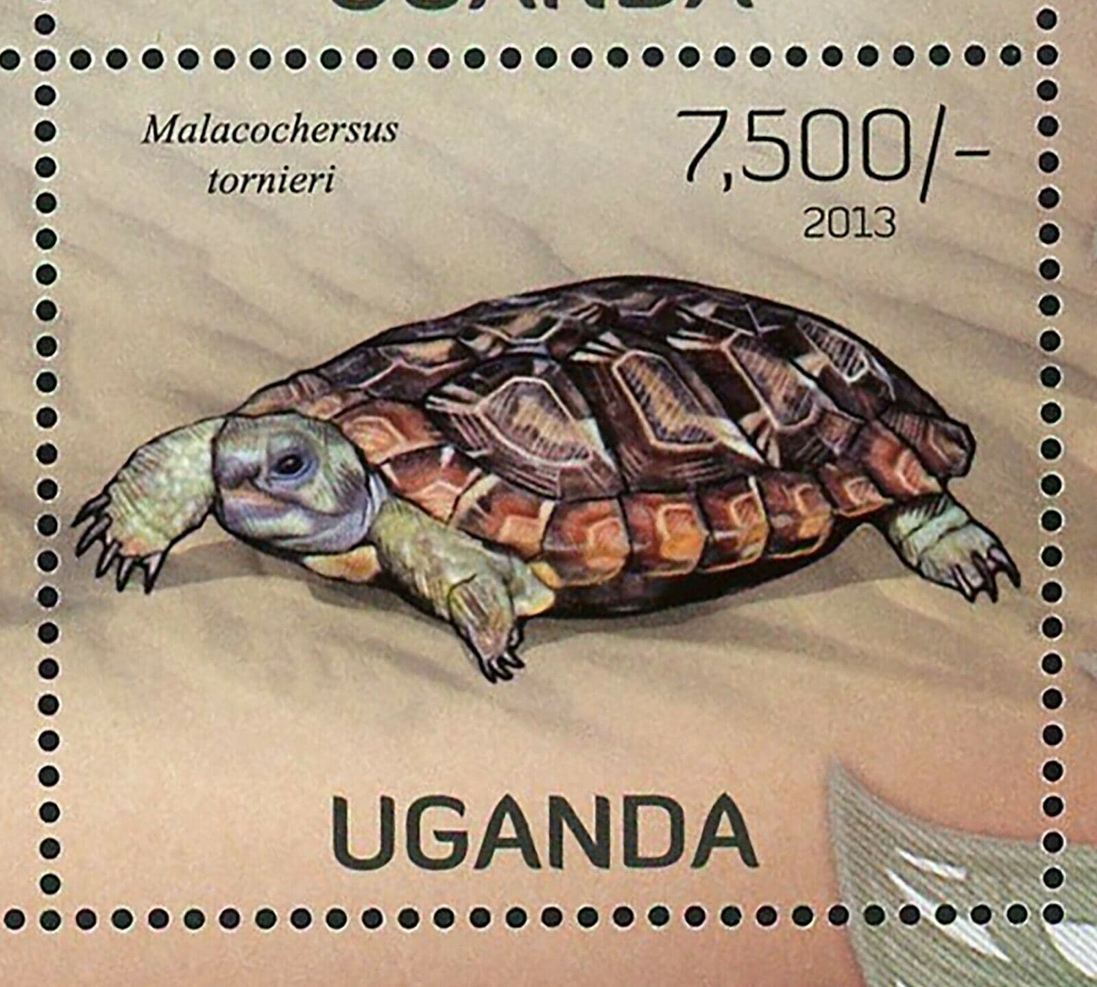 Turtles Stamp Aldabrachelys Gigantea Testudo Kleinmanni S/S MNH #3005-3008 6