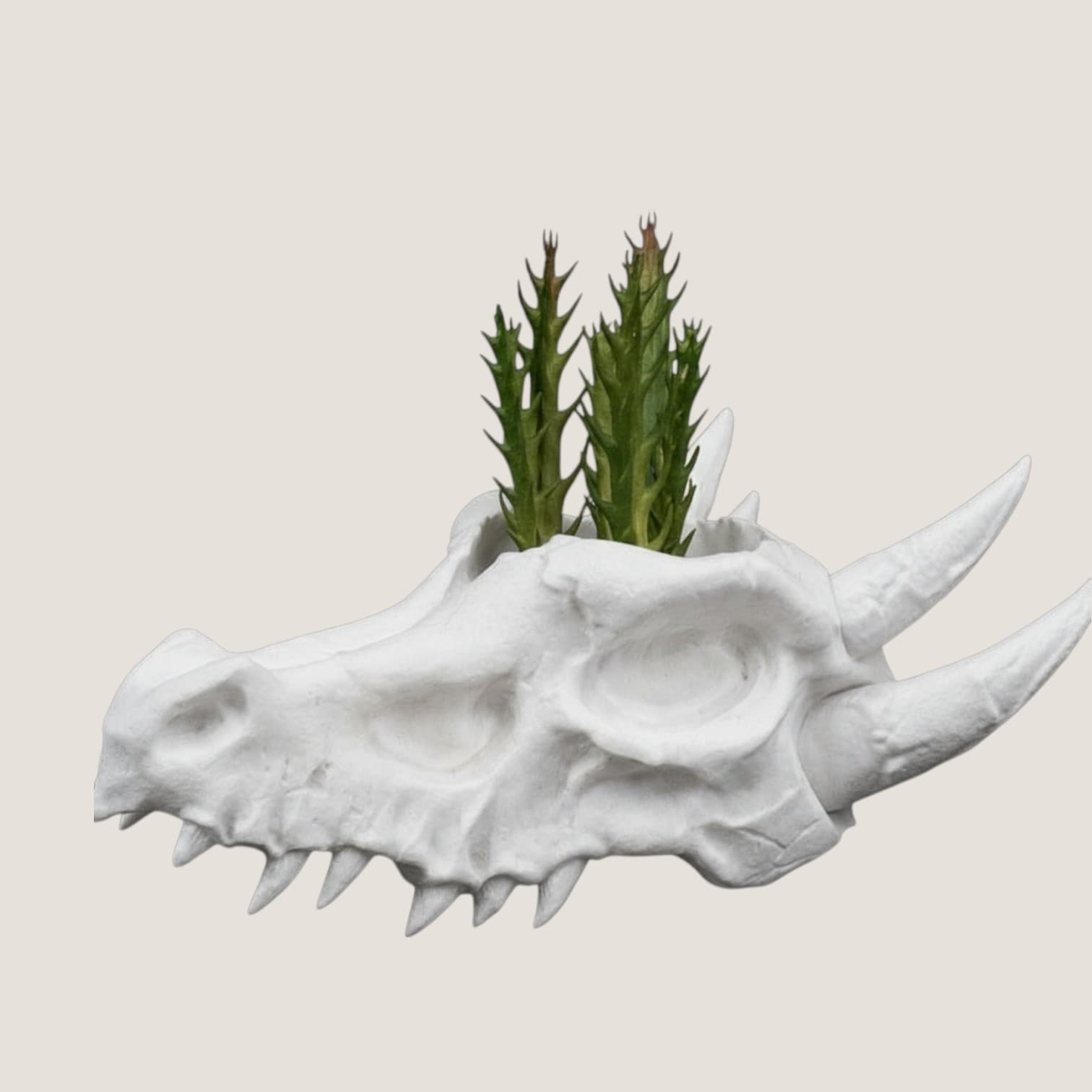 Dragon Skull Planter White Gothic Fantasy Decor Succulent Plant Holder Plastic
