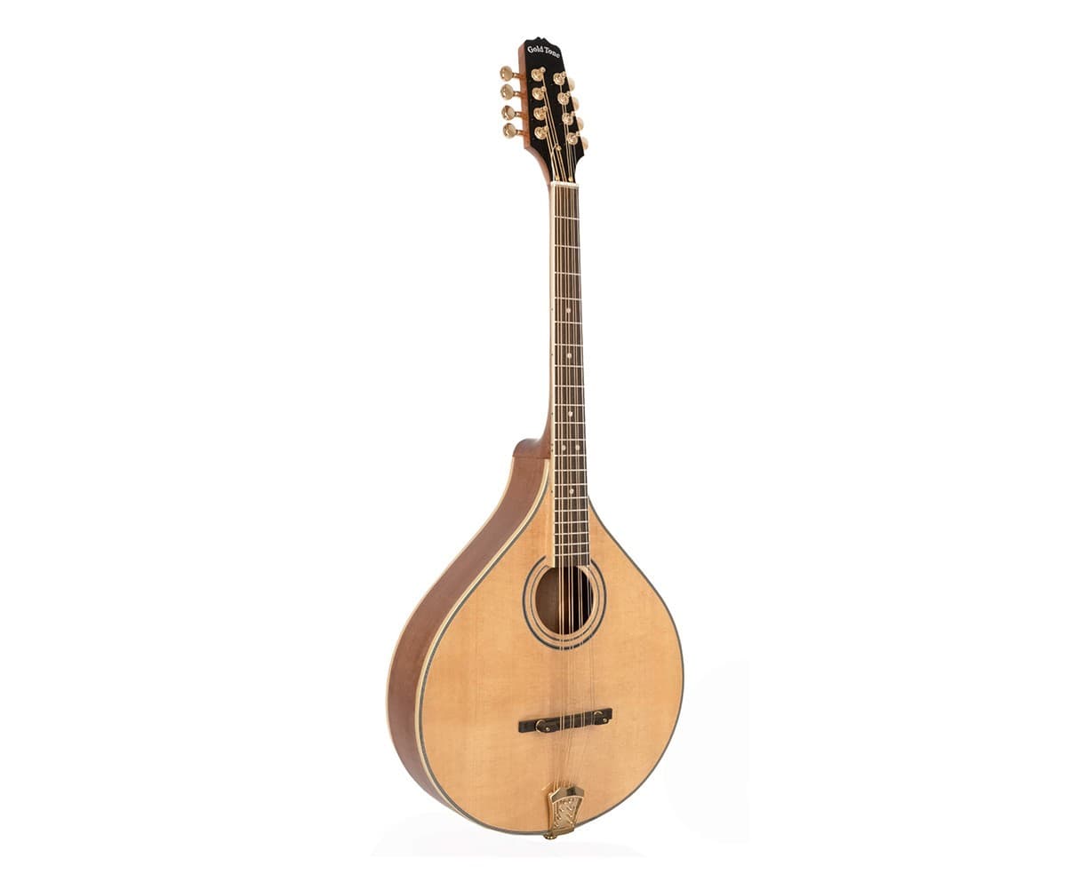 Gold Tone OM-800+ Octave Mandolin - Open Box 2