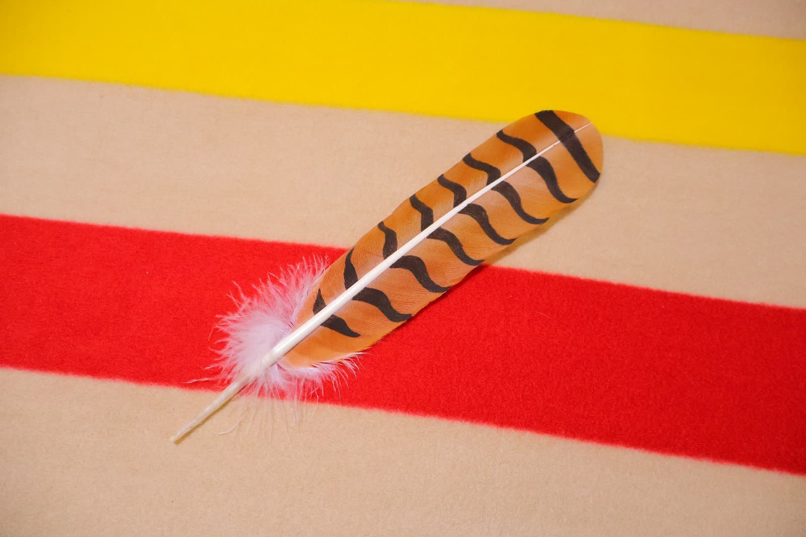 Native American hand painted Red-Tailed Hawk Feather 6