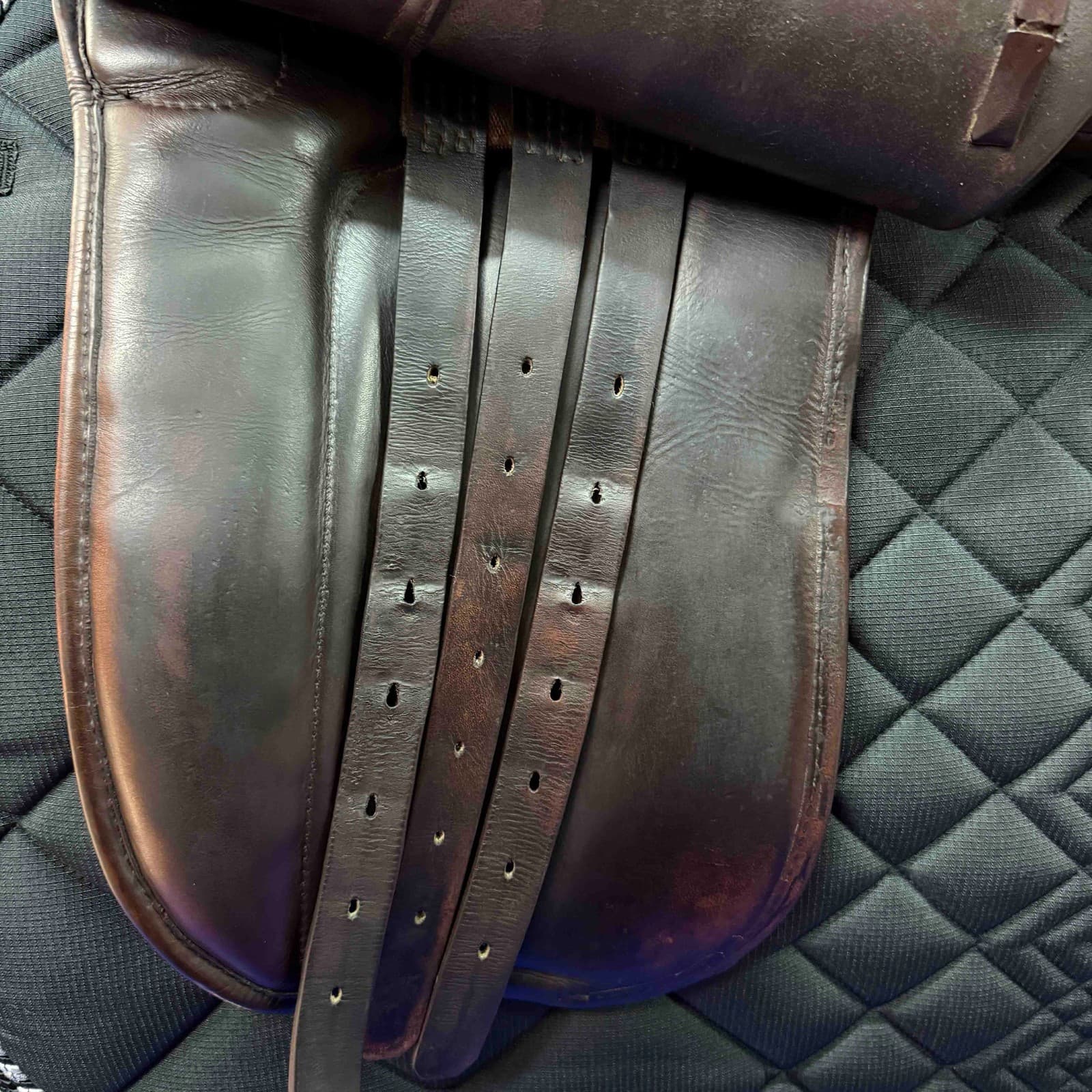 Marcus Krehan Dressage Saddle (Used) 3