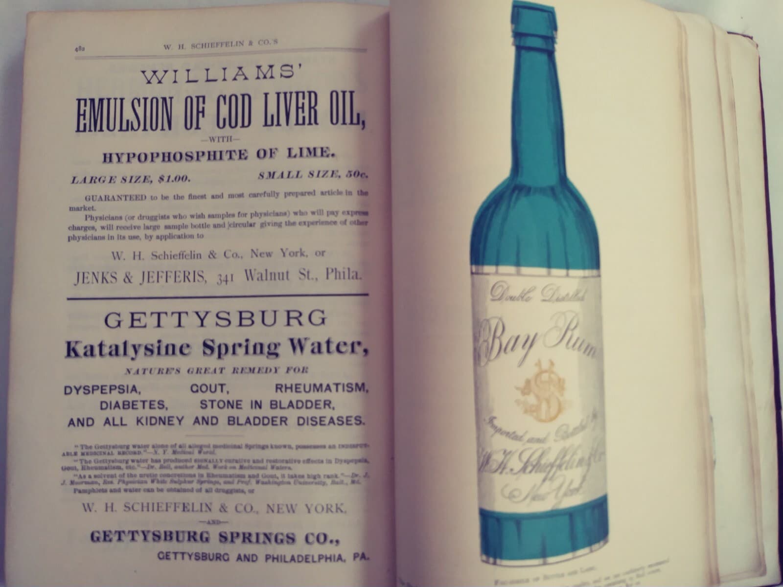 1885 W.H. Schieffelin & Co. Catalog Drugs, Medicines, Chemicals, oils, Pharmacy  4