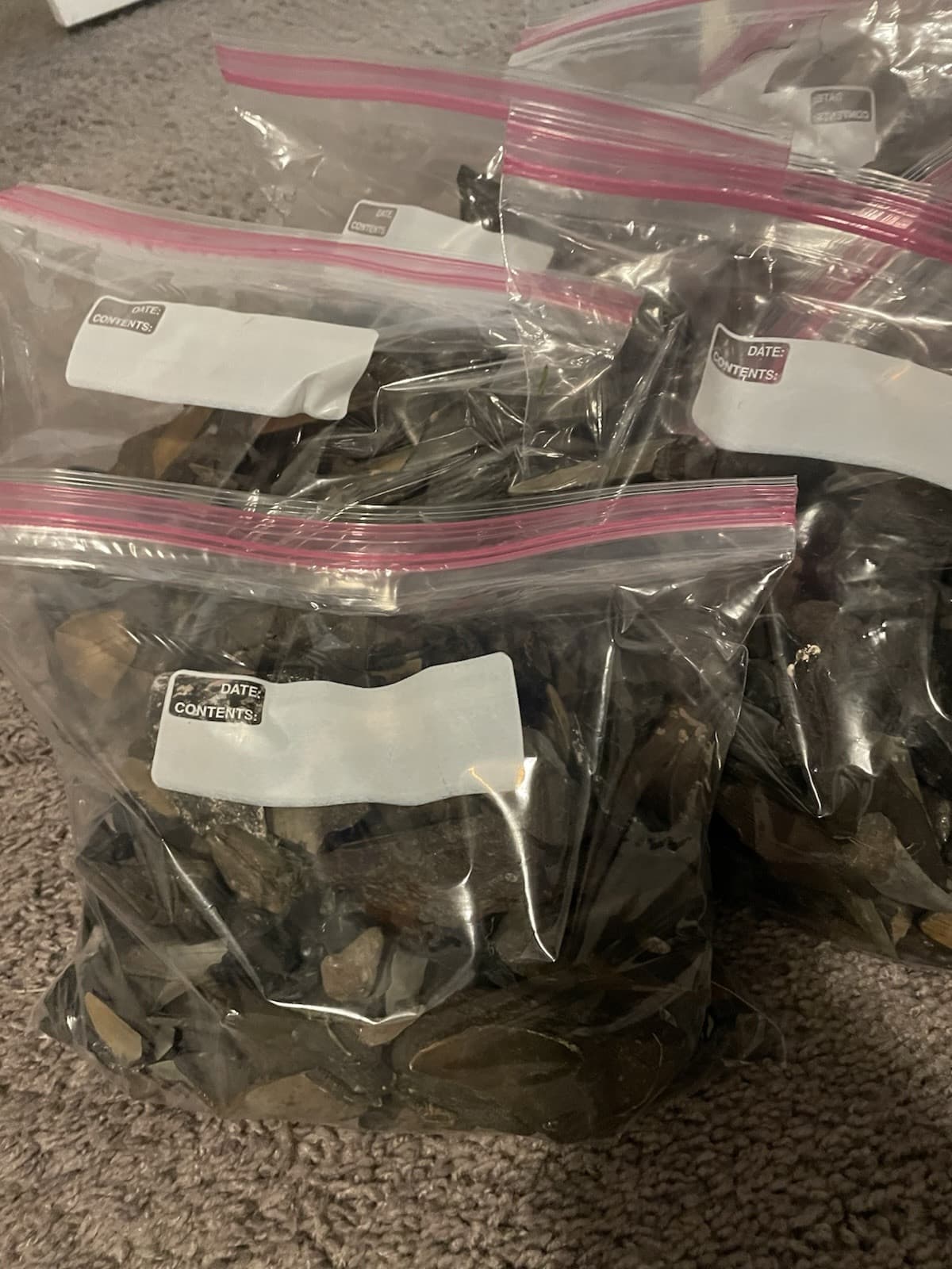 1 Lb Of Broken Megalodon Teeth Fossils!LOT Megalodon tooth fragment Shard Mix 2