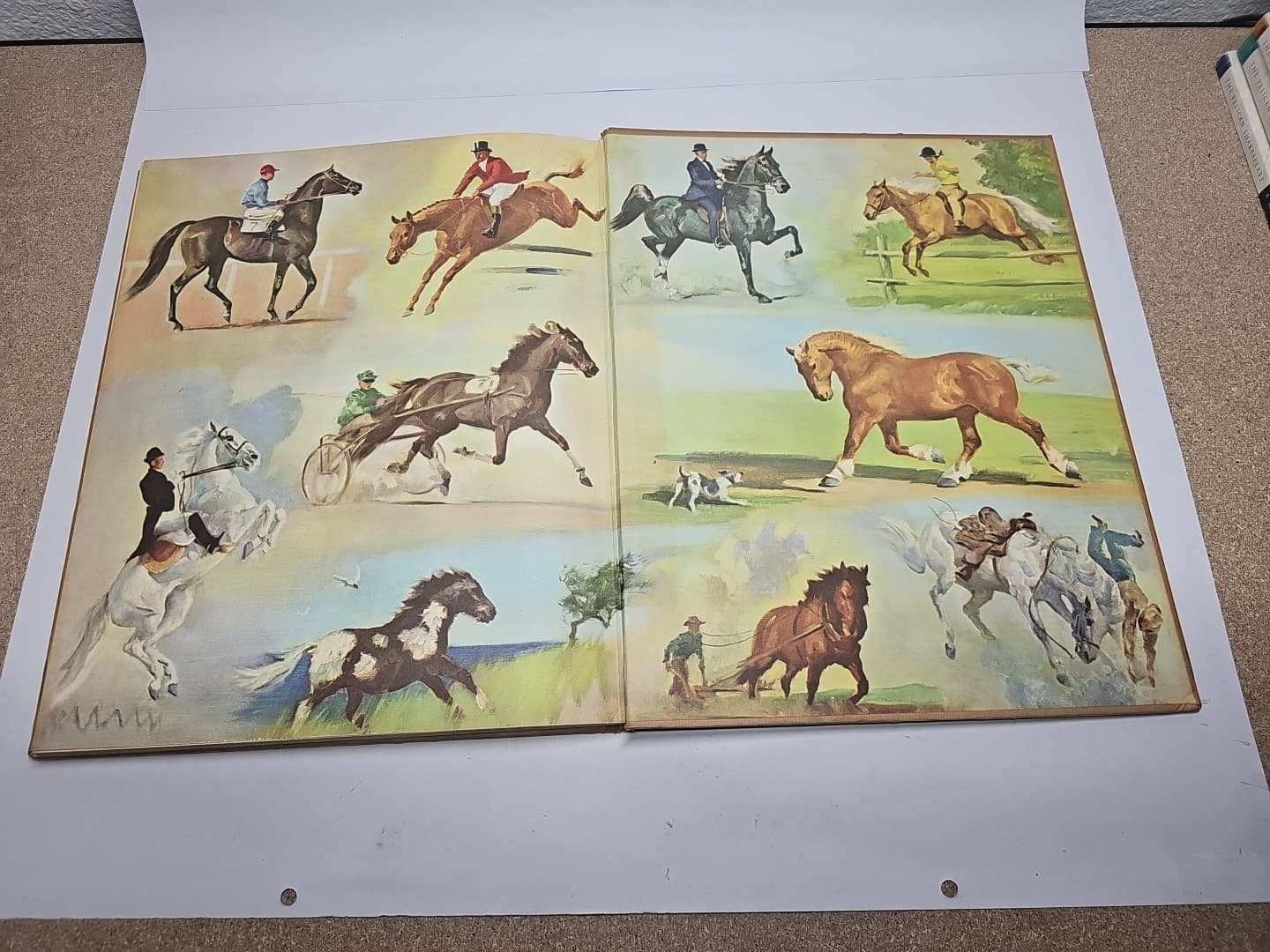 Album Of Horses Marguerite Henry Vintage 4