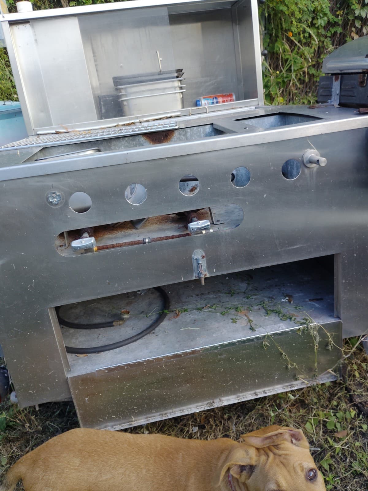 Mobile Hot Dog Cart Trailer Concession Food Stand Vendor Hotdog 6