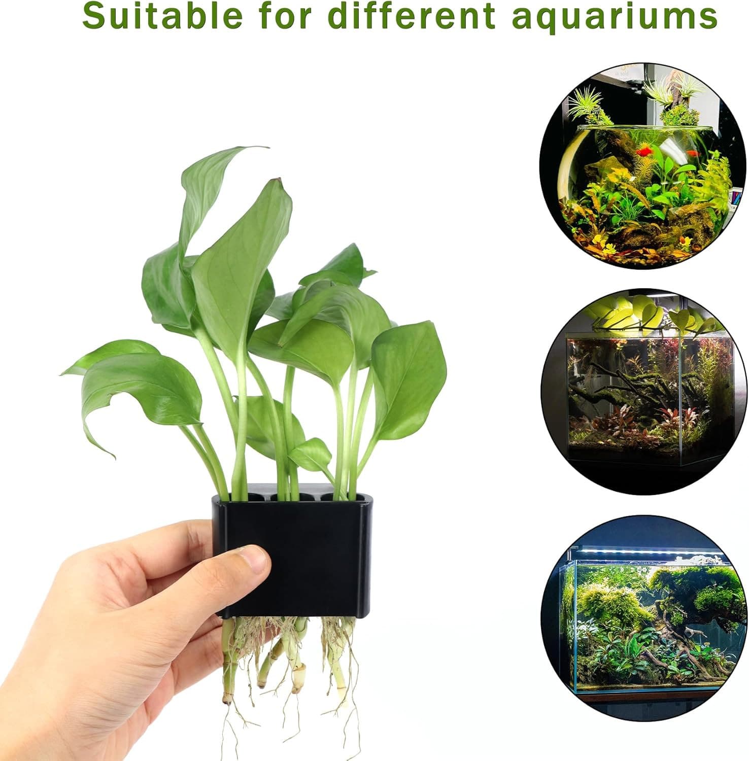 2Pcs 3 Holes Upgraded Aquatic Plant Cup Aquarium Plant Holder for Tank, Hanging 3