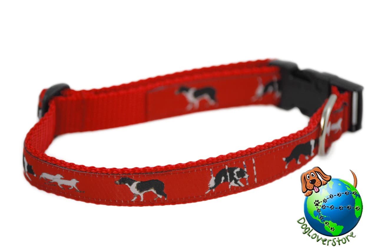 Border Collie Adjustable Collar Medium 11-19" Red