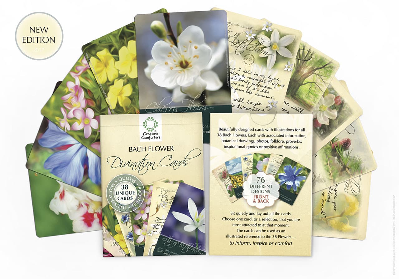 Bach Flower Divination Cards Pack 38 Beautiful illustrations, proverbs, quotes 5