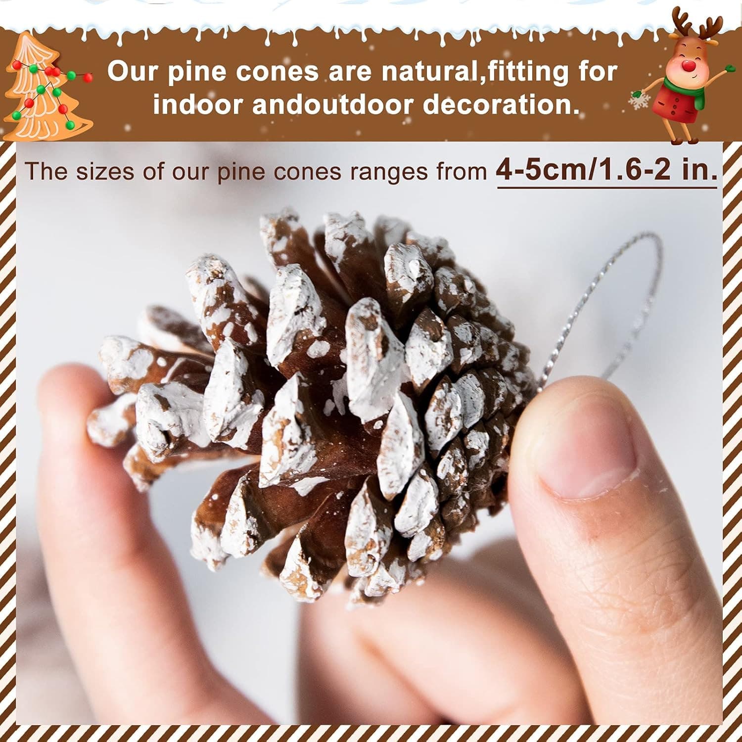 25 Natural Pine Cones with String for Holiday Decorations - 1.6-2 Inch, 25 Pcs 2