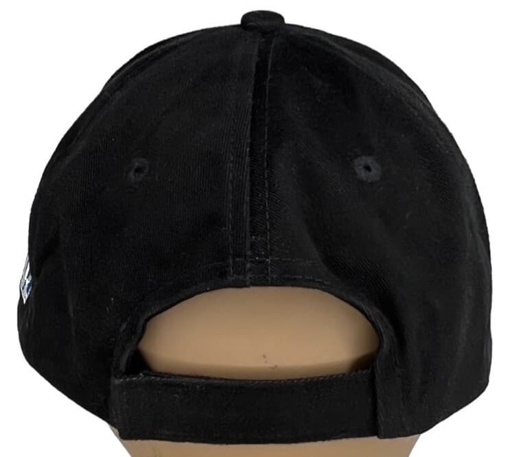 Be Petty Nascar Richard Petty Driving Experience Hat Black Adjustable Cap Preown 6