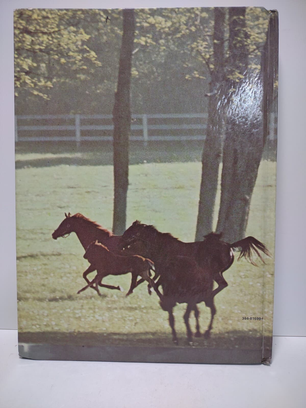 All About Horses Marguerite Henry HC Book 1967 Breeds Riding Warm Cold Bloods  2