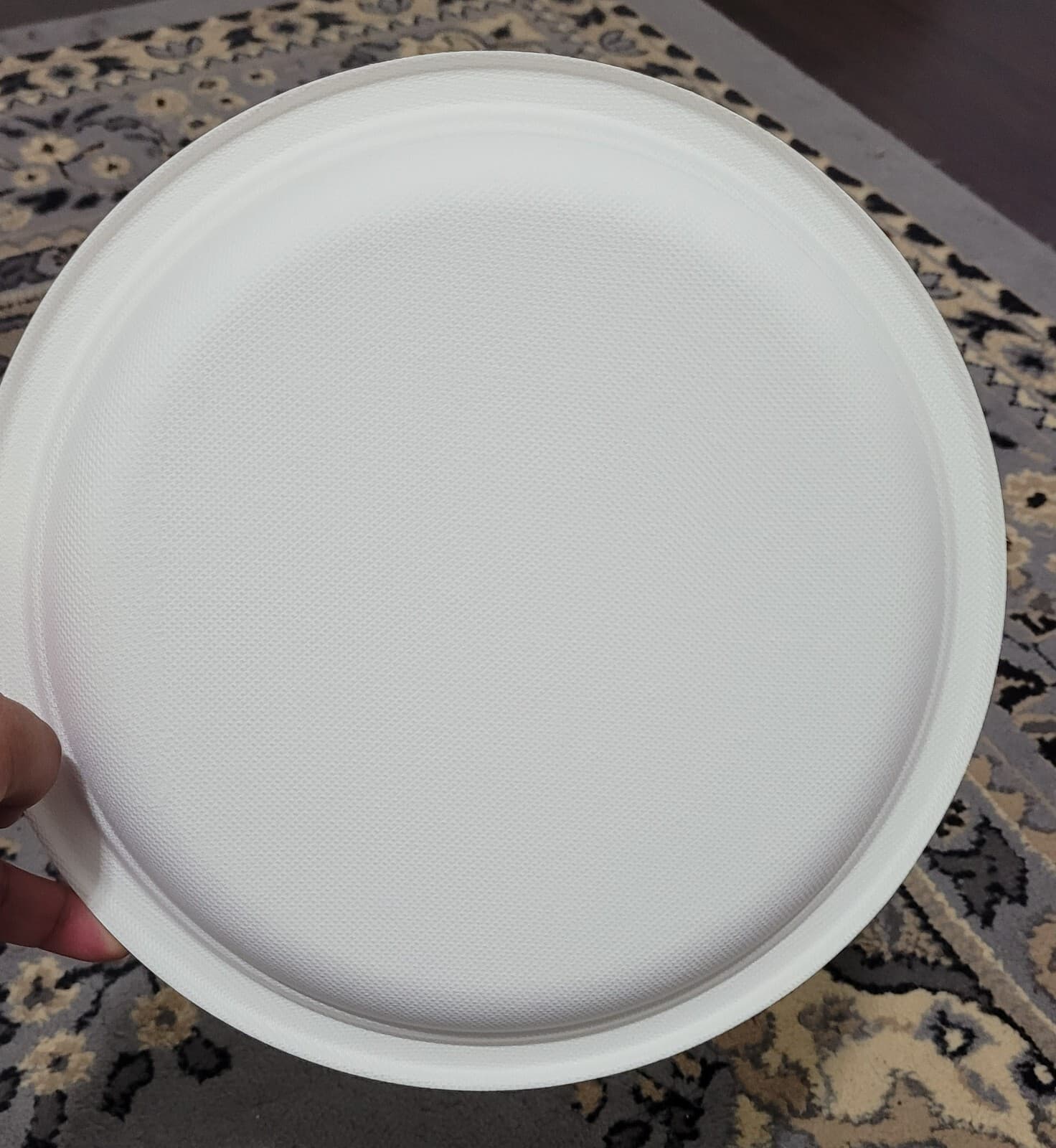 10" Round 500pcs Compostable Natural Sugarcane Biodegradable Plate Microwavable 4