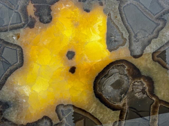 RARE  7 9/16"  SEPTARIAN SLAB W/ FOSSIL CRAB  ,A+ QUALITY: & FL/PHOSPHORESCENT! 3