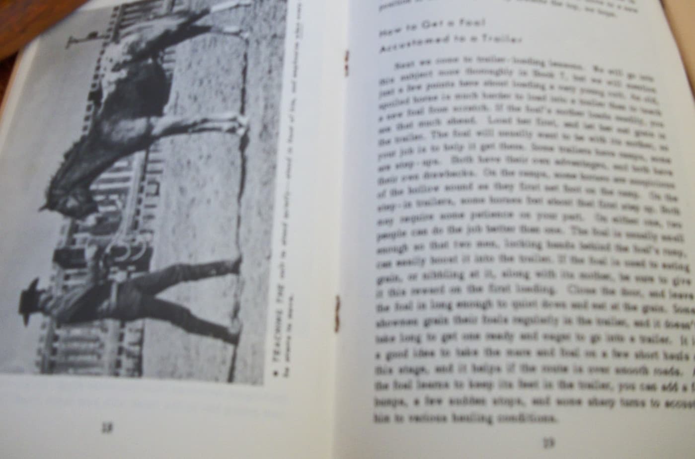 Vintage Pete Moss Beery School How to Ride and Train the Western Horse  Books 7 3