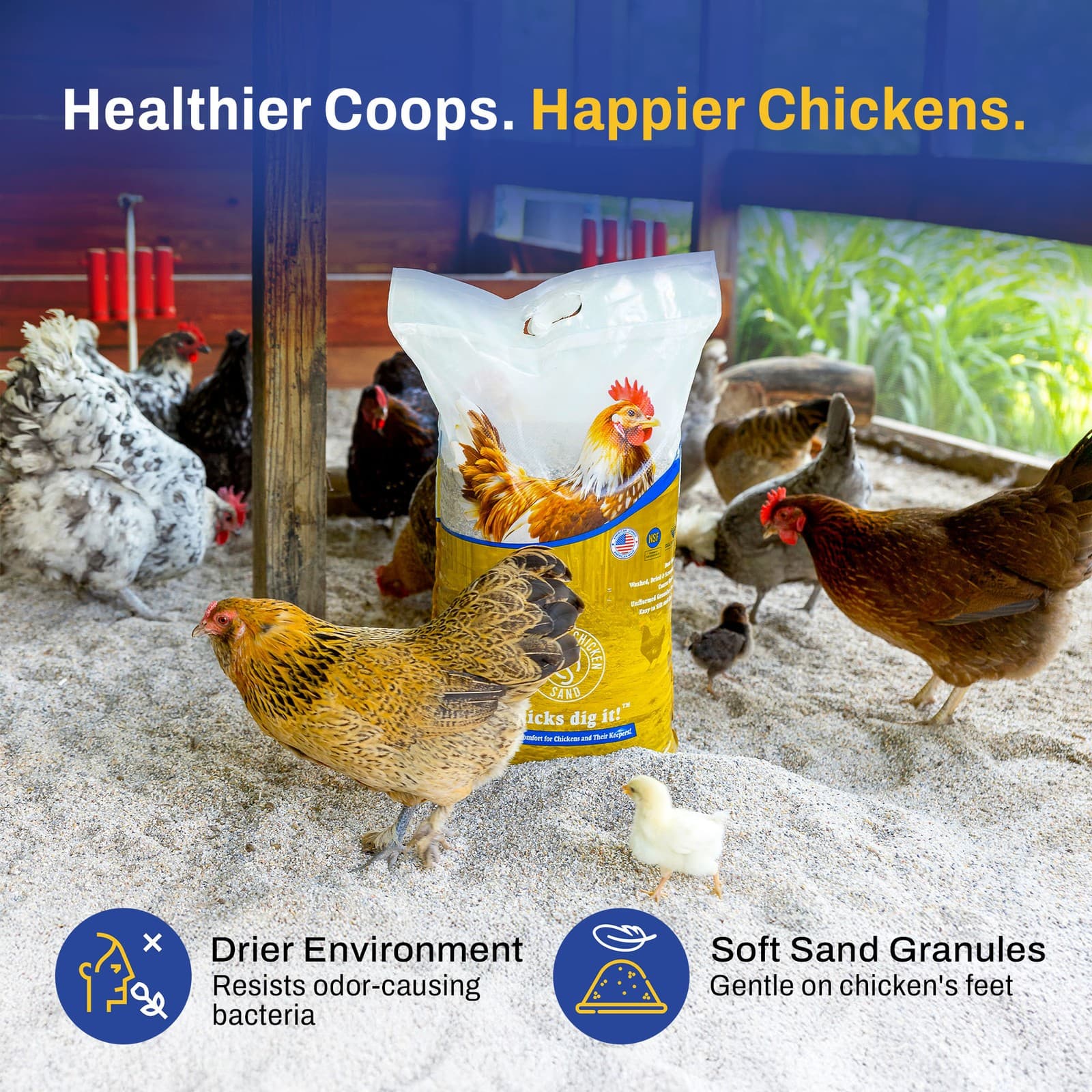 Premium Chicken Sand, Odor Eliminating Bedding for Coops, 50 Lb Bag, 2 Pack 4