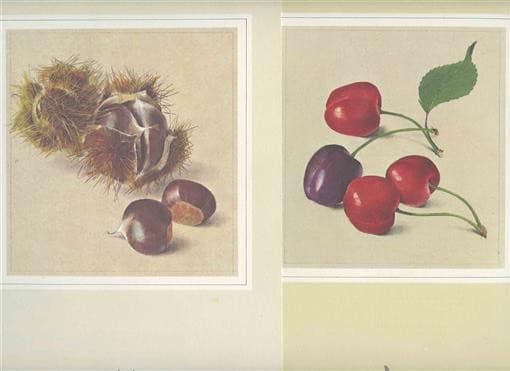 2 Swissair Economy Class Menus 1990's Switzerland North America Chestnut Cherry