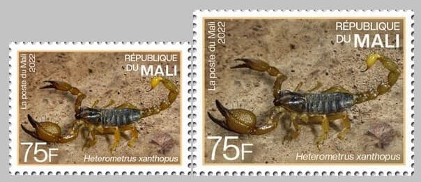 MALI 2022 SET 2V - INDIA ENDEMIC FAUNA - SCORPION SCORPIONS SPIDER SPIDERS - MNH