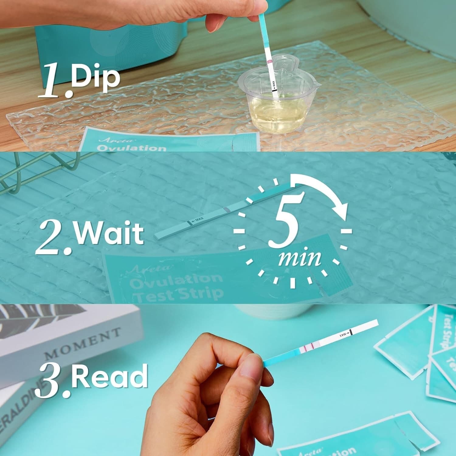 Areta LH Ovulation Test Kit (30) – Precision Fertility Tracking 5