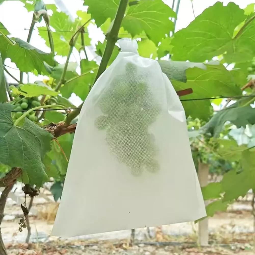 100PCS Garden Plant Fruit Vege Protect Drawstring Bags Against Insect Pest Bird 2