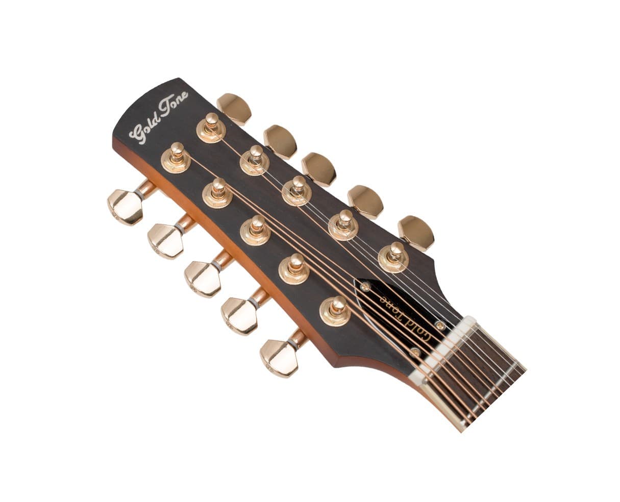 Gold Tone Mastertone F10 10-String F-Style Mandolin - Open Box 4