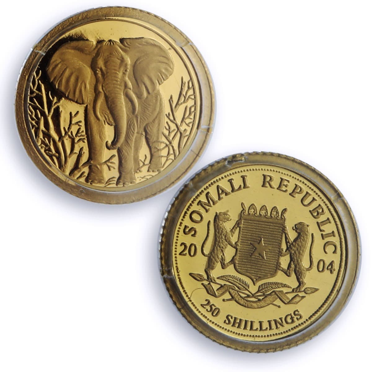 Somalia 250 shillings Elephant African Wildlife Fauna PR69 PCGS gold coin 2004 2