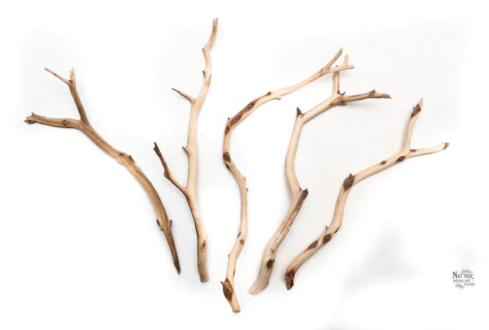 Aquarium Manzanita Driftwood - 5 Random Pieces 9" - 13" Fish, Bird, Reptile 3