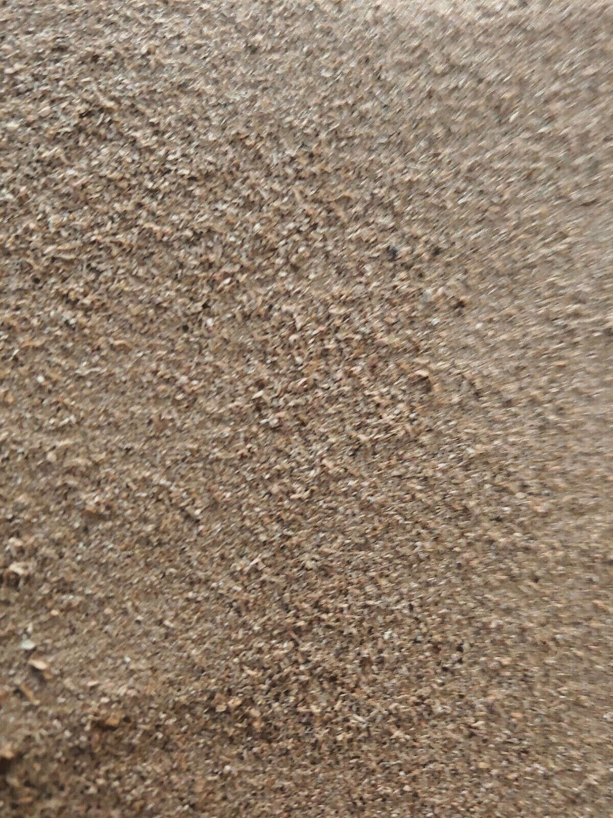 Two Pounds Undried Organic Mixed Oak Sawdust for Gardening, Wood Working, etc. 4