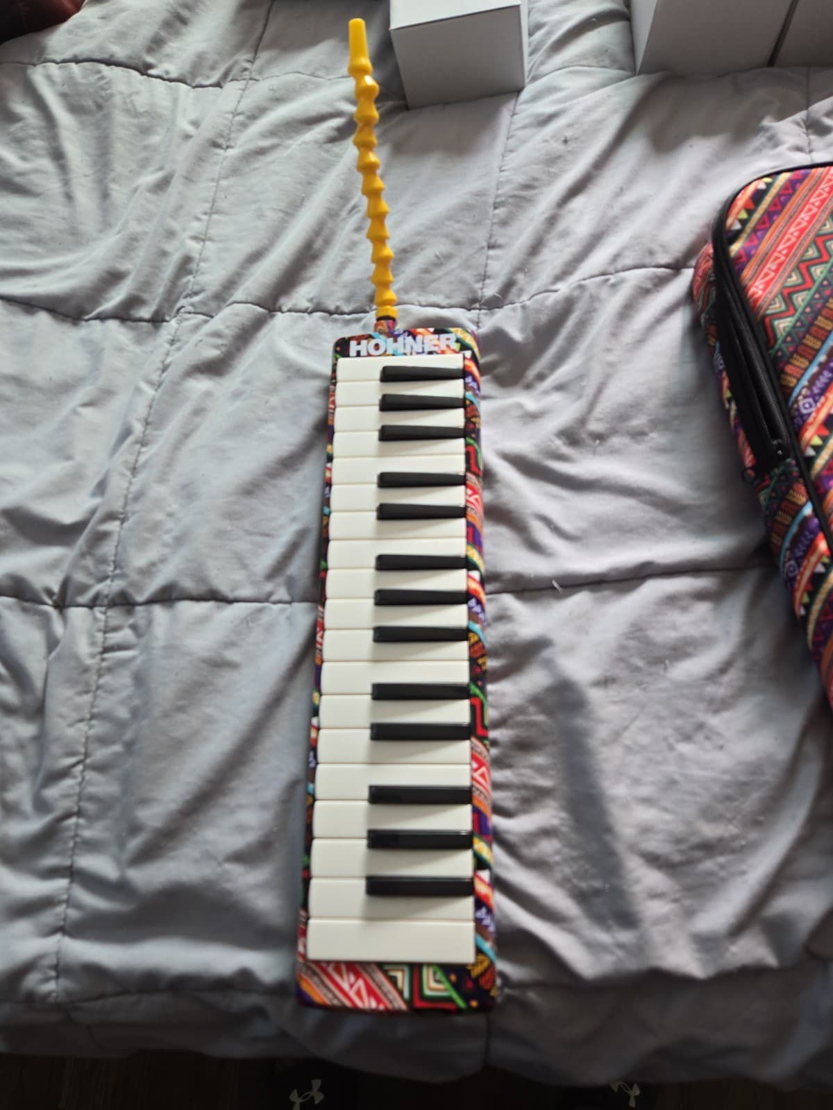 Hohner 32 Airboard Melodica Cool "Aztec" Colors With Matching Carrying Case