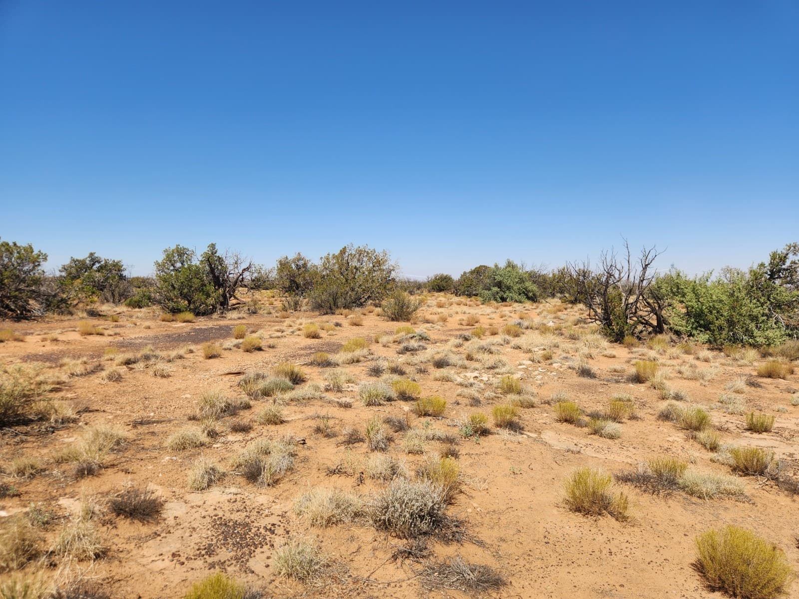 36 Acres Chevelon Canyon Ranch, Heber, AZ. Road Access, Well Water, Trees, Views 5