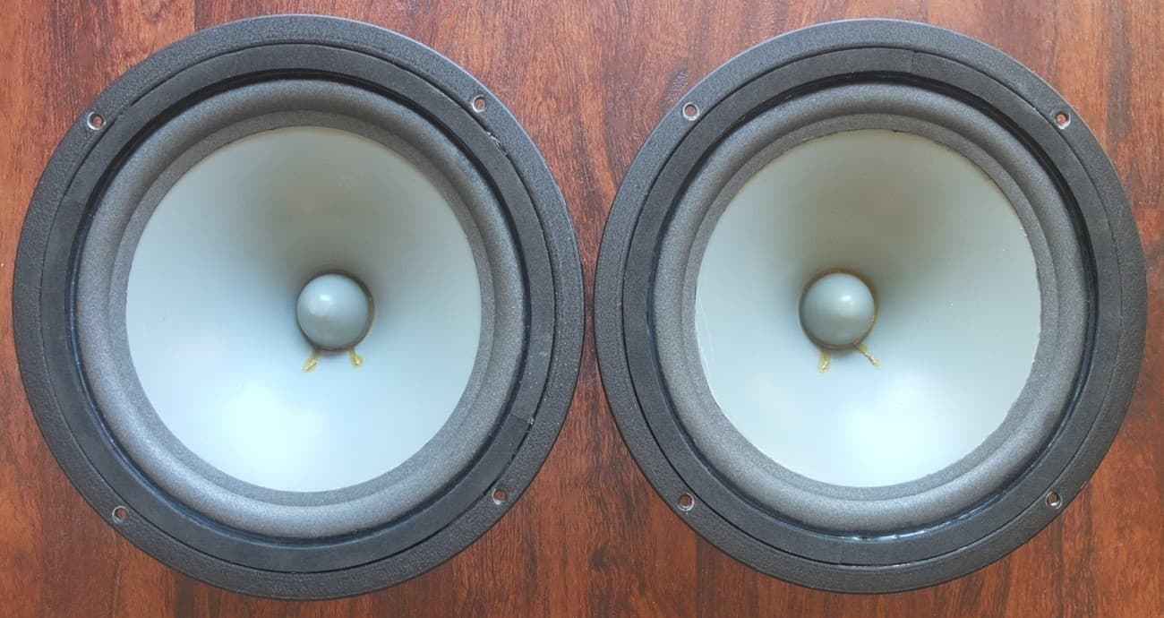 vintage Infinity 10" gray poly cone woofers for RSa RSb speakers c.1979—refoamed 2