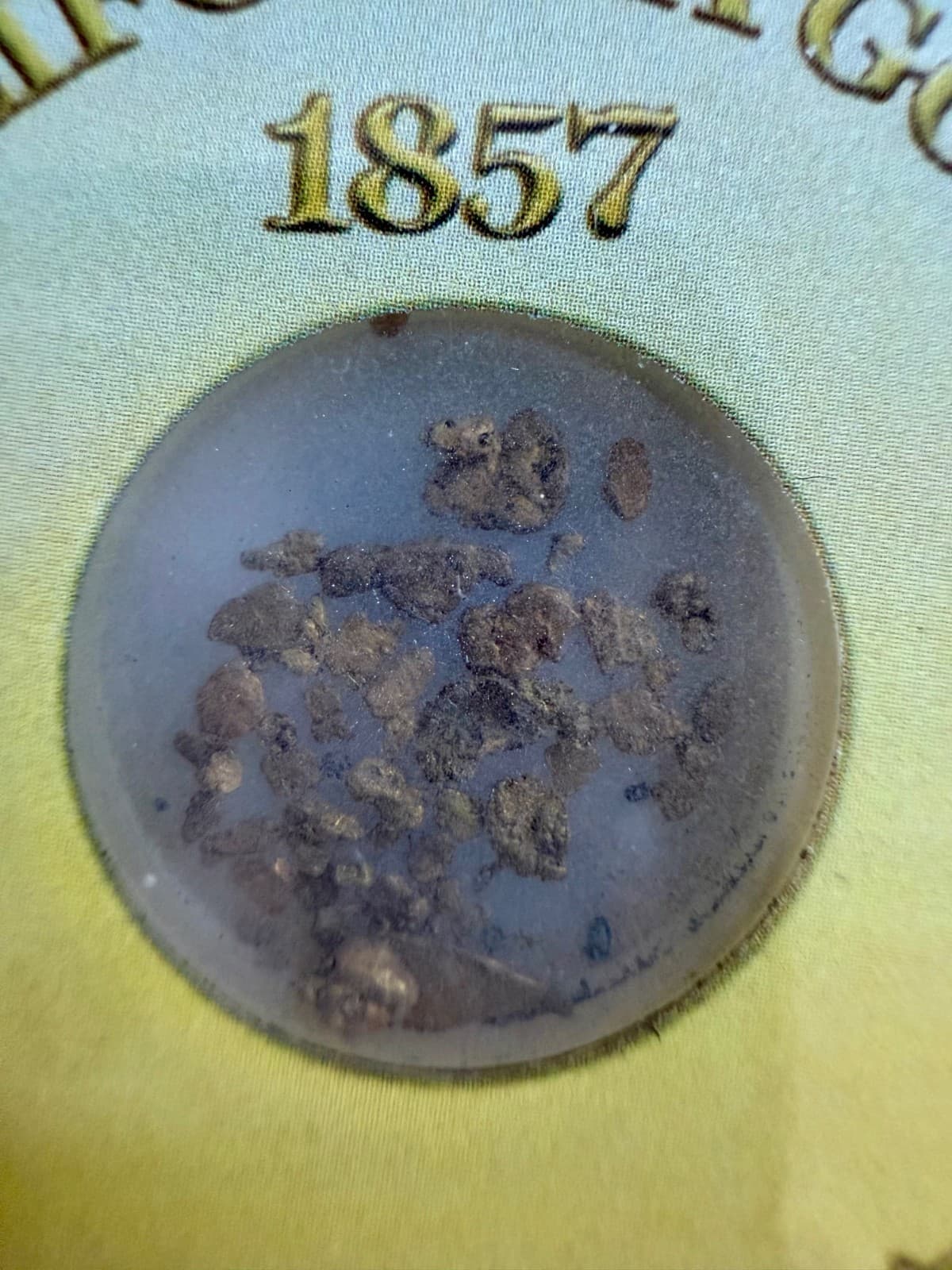 SS CENTRAL AMERICA SSCA SHIPWRECK GOLD PINCH FROM THE WORLD FAMOUS SHIP OF GOLD! 2