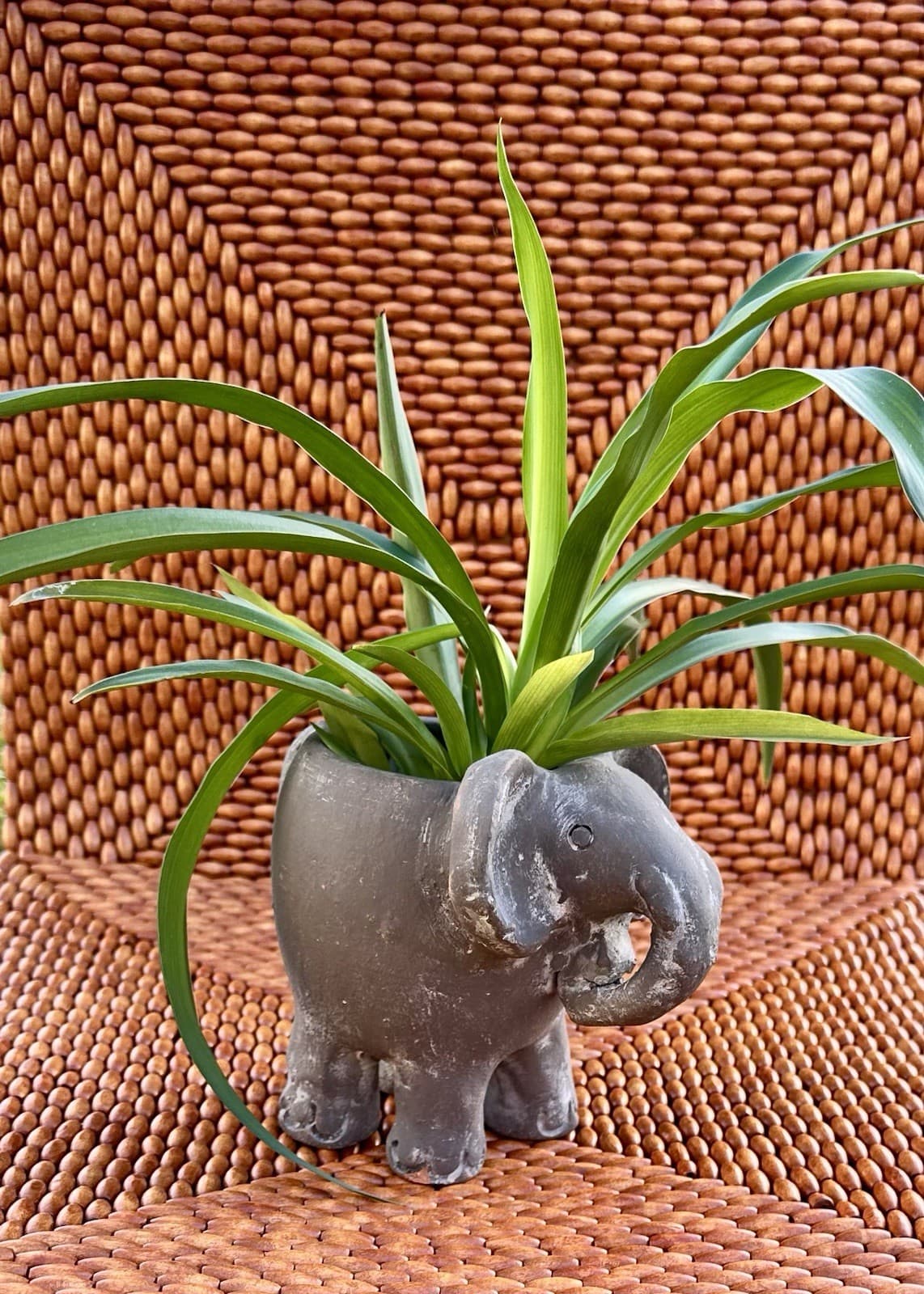 Handmade Gray Elephant Planter Pot Unglazed Ceramic Animal  Boho Garden Decor 6” 3