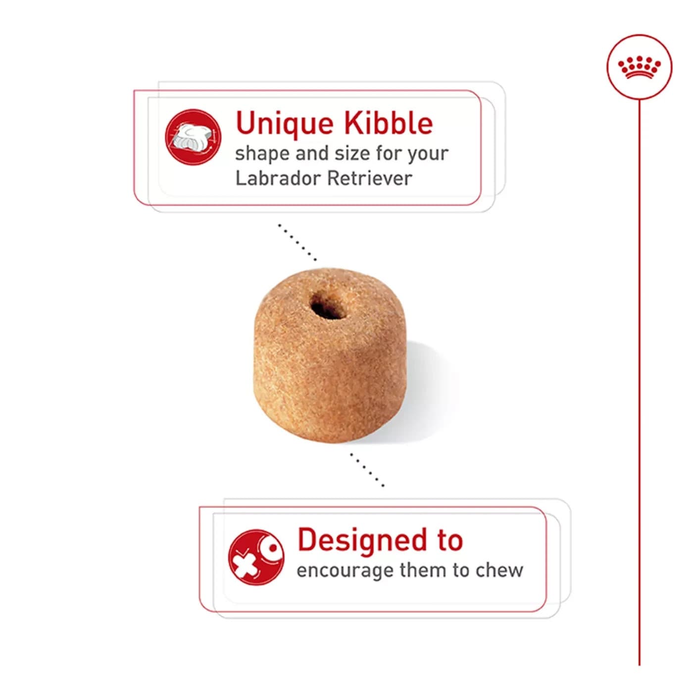 Royal Canin Labrador Retriever Adult Breed Specific Dry Dog Food - 30 Pound 5