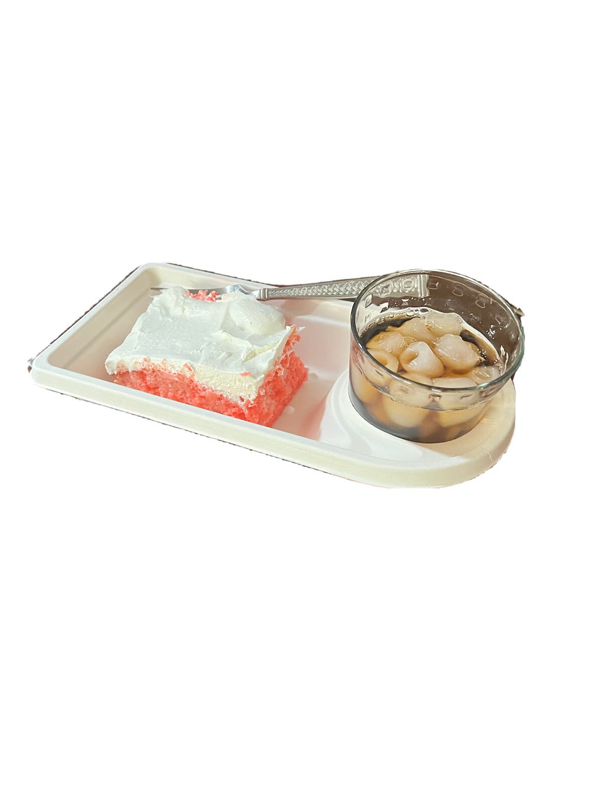 12 x 6 inch plates with wine/beverage holder disposable biodegradable 2