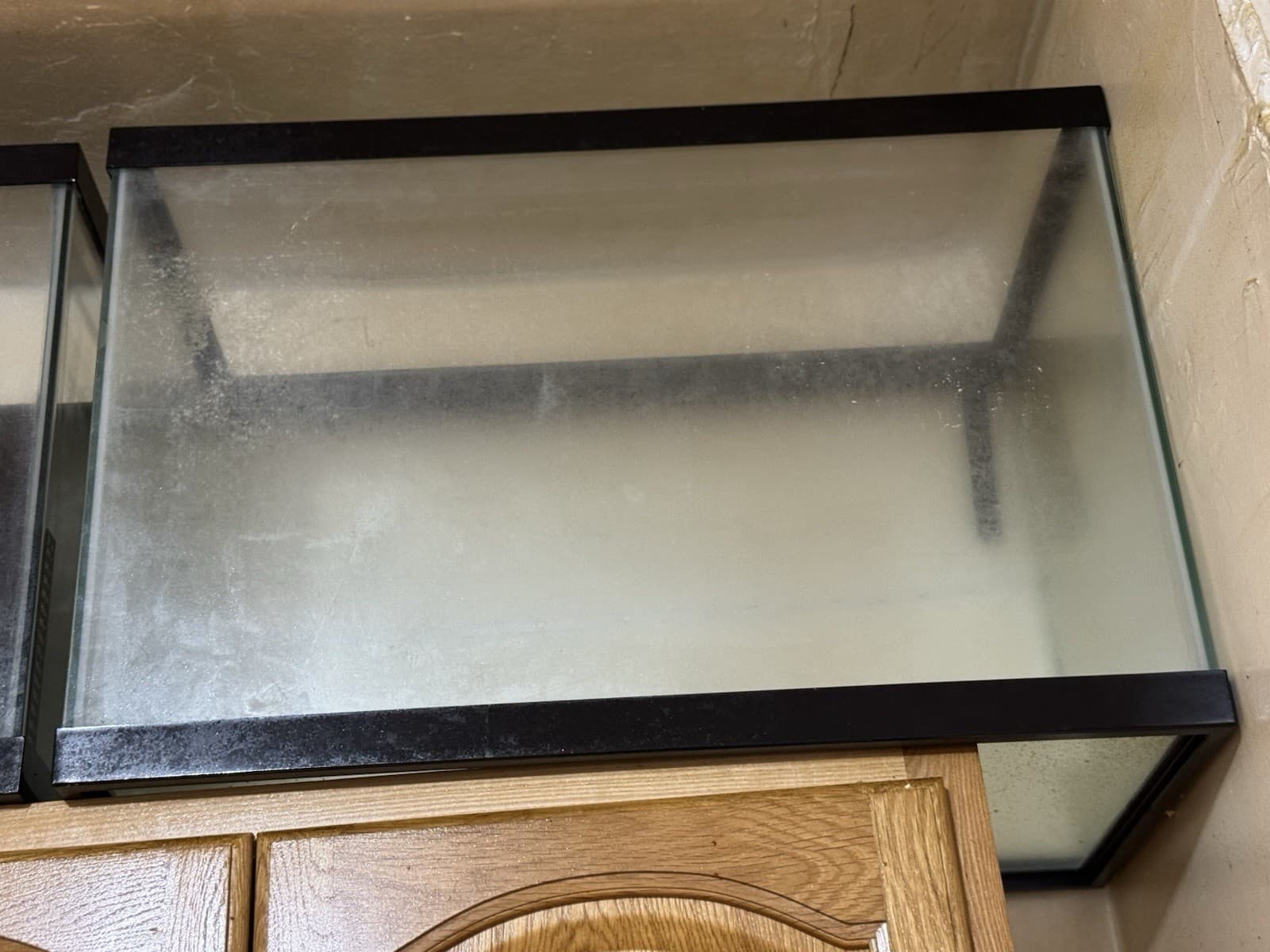 75/55/29/20 Gallon Fish Tanks 4